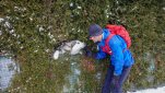 ZOBRAZIT fotky proběhlé akce:
Vánoční maraton z Jihlavy do Třebíče 2022
Hromadný běh z Jihlavy do Třebíče v adventním období po cyklotrase kolem řeky Jihlava poprvé zasněženou krajinou.