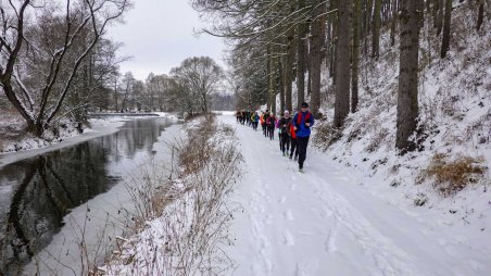 Cyklotrasa kolem řeky Jihlava mezi obcemi Dolní Smrčné a Bransouze