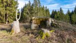 ZOBRAZIT fotky proběhlé akce:
Běh 55 km: Česká Kanada
Novoroční běh za jarních podmínek Českou Kanadou kolem hradu Landštejn téměř až k Nové Bystřici a večerní návrat přes Vysoký kámen a rozhlednu U Jakuba zpátky do Českého Rudolce.