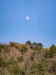 Měsíc nad národní přírodní rezervací Mohelenská hadcová step