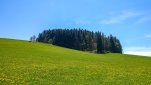 ZOBRAZIT fotky proběhlé akce:
Běh 42 km: Žďárské vrchy
Odpolední proběhnutí jarní krajinou přes devět různých skalních útvarů ve Žďárských vrších.