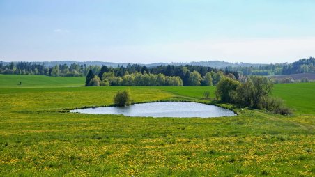 Samkův rybník nedaleko obce Skrýchov