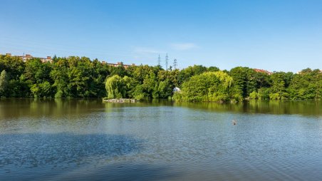 Hamerský rybník v Praze