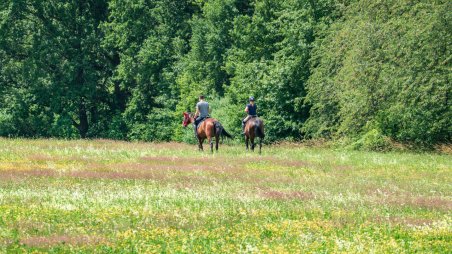 Jezdci na koních u obci Radimovice