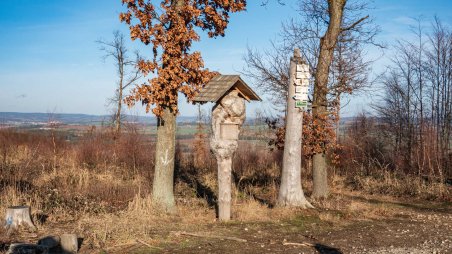 Vrchol kopce Bába (665)