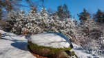 ZOBRAZIT fotky proběhlé akce:
Běh 45 km: Česká Kanada
Proběhnutí lehce zasněženou krajinou České Kanady v silných mrazech mezi Českým Rudolcem, Rozhlednou U Jakuba a Starým Městem pod Landštejnem.