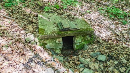 Studánka u Žabičky nedaleko rekreační oblasti Malé Loučky u Vranovské přehrady